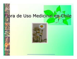 Flora de Uso Medicinal en Chile 