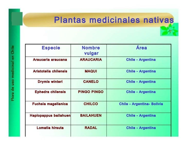 Suplementos alimenticios para bajar de peso y marcar consultas