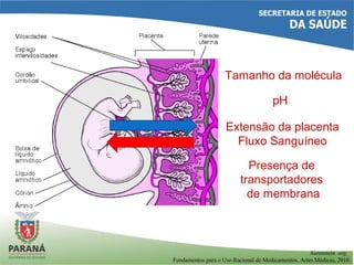 Tamanho da molécula
pH
Extensão da placenta
Fluxo Sanguíneo
Presença de
transportadores
de membrana
Aizenstein org.
Fundamentos para o Uso Racional de Medicamentos, Artes Médicas, 2010
 