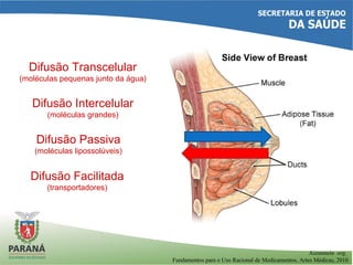 Difusão Transcelular
(moléculas pequenas junto da água)
Difusão Intercelular
(moléculas grandes)
Difusão Passiva
(moléculas lipossolúveis)
Difusão Facilitada
(transportadores)
Aizenstein org.
Fundamentos para o Uso Racional de Medicamentos, Artes Médicas, 2010
 