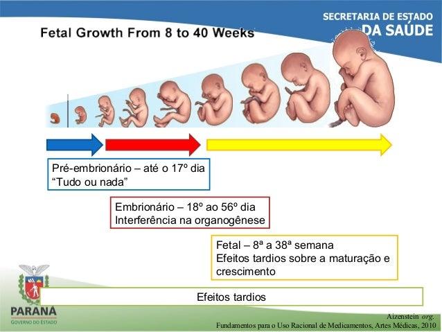 Featured image of post Imagens Relacionadas A Gravidez / O programa o milagre da gravidez é baseado nas mais recentes pesquisas científicas em como parar a causa real de 97% dos problemas relacionados a infertilidade feminina e masculina.