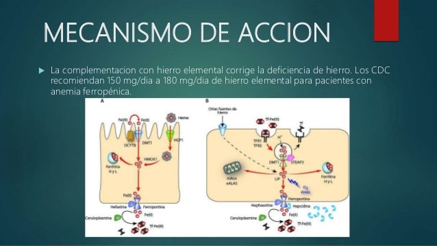 Medicamentos para la anemia