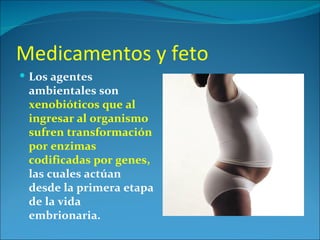 Medicamentos y feto
 Los agentes
 ambientales son
 xenobióticos que al
 ingresar al organismo
 sufren transformación
 por enzimas
 codificadas por genes,
 las cuales actúan
 desde la primera etapa
 de la vida
 embrionaria.
 