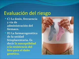Evaluación del riesgo
 C) La dosis, frecuencia
  y via de
  administración del
  fármaco.
 D) La farmacogenética
  de la unidad
  fetoplacentaria. Es
  decir la susceptibilad
  o la resistencia del
  feto para el daño
  genético.
 