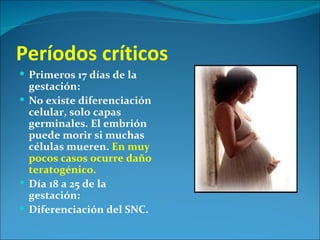 Períodos críticos
 Primeros 17 días de la
  gestación:
 No existe diferenciación
  celular, solo capas
  germinales. El embrión
  puede morir si muchas
  células mueren. En muy
  pocos casos ocurre daño
  teratogénico.
 Día 18 a 25 de la
  gestación:
 Diferenciación del SNC.
 