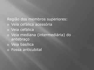 Região dos membros superiores:
 Veia cefálica acessória
 Veia cefálica
 Veia mediana (intermediária) do
antebraço
 Veia basílica
 Fossa anticubital
 