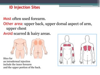 Forearm Id Injection Comprehensive Guide to Safe Medication Administration and Injection ...