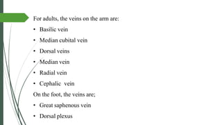 For adults, the veins on the arm are:
• Basilic vein
• Median cubital vein
• Dorsal veins
• Median vein
• Radial vein
• Cephalic vein
On the foot, the veins are;
• Great saphenous vein
• Dorsal plexus
 