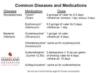 Poultry Rx General principles of poultry medication | PPTX
