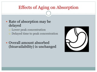 Effects of Aging on Absorption
 Rate of absorption may be
delayed
 Lower peak concentration
 Delayed time to peak concentration
 Overall amount absorbed
(bioavailability) is unchanged
 
