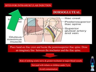 SITES FOR INTRAMUSCULAR INJECTION

                                                   DORSOGLUTEAL




   Place hand on iliac crest and locate the posterosuperior iliac spine. Draw
        an imaginary line between the trochanter and the iliac spine.


            Risk of striking sciatic nerve & greater trochanter or major blood vessels

                          Not used with infants or children under 3 y/o
                                   Avoid contamination
 