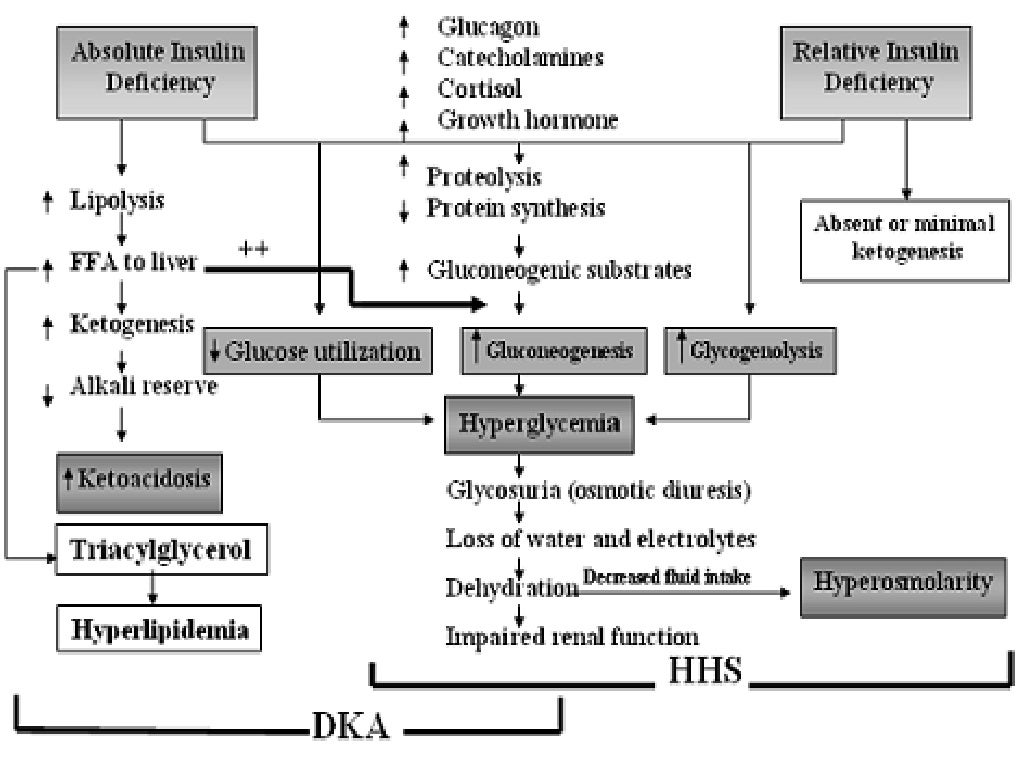 Medications That Affect The Endocrine System