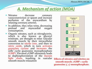 A. Mechanism of action (MOA)
 Nitrates decrease coronary
vasoconstriction or spasm and increase
perfusion of the myocardium by
relaxing coronary arteries.
 In addition, they relax veins, decreasing
preload and myocardial oxygen
consumption.
 Organic nitrates, such as nitroglycerin,
which is also known as glyceryl
trinitrate, are thought to relax vascular
smooth muscle by their intracellular
conversion to nitrite ions, and then to
nitric oxide, which in turn activates
guanylate cyclase and increases the
cells' cyclic guanosine monophosphate
(GMP). Elevated cGMP ultimately leads
to dephosphorylation of the myosin
light chain, resulting in vascular
smooth muscle relaxation
Effects of nitrates and nitrites on
smooth muscle. cGMP = cyclic
guanosine 3', 5'-monophosphate.
Abuzar,(BDS),SSCDS
 