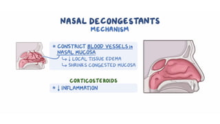 Broncholytics | PDF