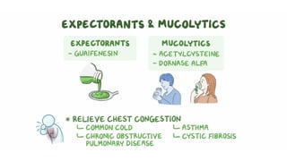 Broncholytics | PDF