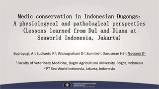 Medic conservation in Indonesian Dugongs:
A physiologycal and pathological perspecties
(Lessons learned from Dul and Diana at
Seaworld Indonesia, Jakarta)
Suprayogi, A1; Sudranto R2; Wisnugrahani D2; Sumitro2; Darusman HS1; Noviana D1
1 Faculty of Veterinary Medicine, Bogor Agricultural University, Bogor, Indonesia
2 PT Sea World Indonesia, Jakarta, Indonesia
 