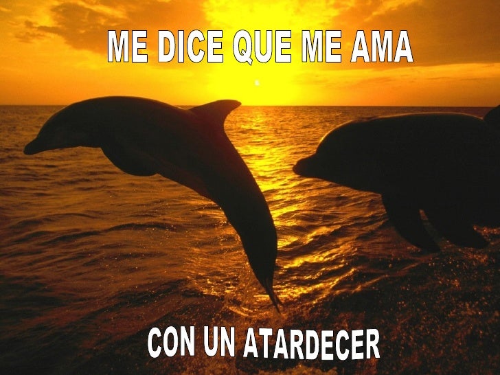 Me dice que me ama jar