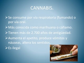 CANNABIS.
Se consume por vía respiratoria (fumando) o
por vía oral.
Más conocida como marihuana o cáñamo.
Tienen más de 2.700 años de antigüedad.
Aumenta el apetito, produce vómitos y
náuseas, altera los sentidos.
Es ilegal
 