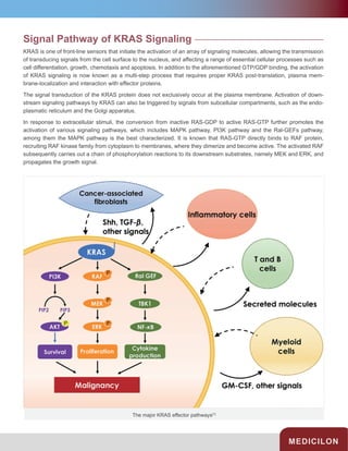 Kras Localization Medicilon KRAS-targeted Drugs R&D Service.pdf