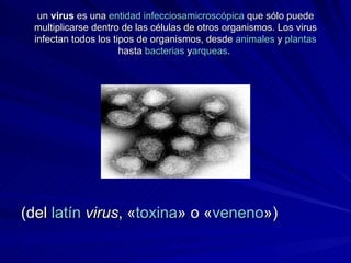 un  virus  es una  entidad   infecciosa microscópica  que sólo puede multiplicarse dentro de las células de otros organismos. Los virus infectan todos los tipos de organismos, desde  animales  y  plantas  hasta  bacterias  y arqueas .   (del  latín   virus , « toxina » o « veneno »)  