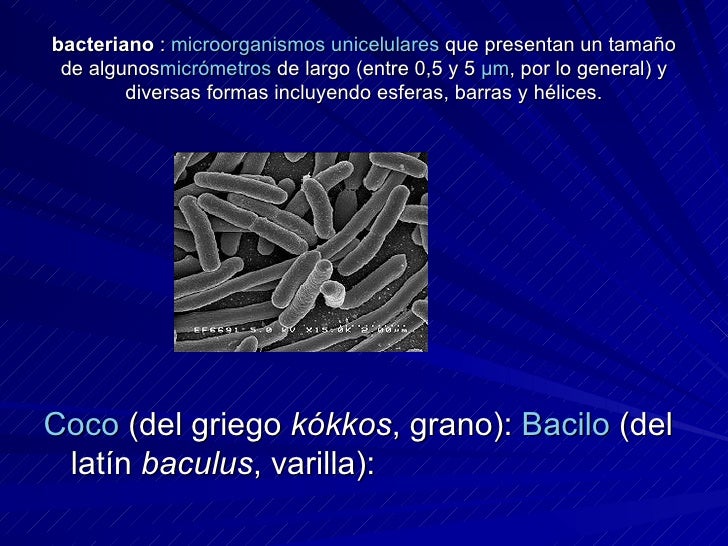 La fase de la agudización de la eccema