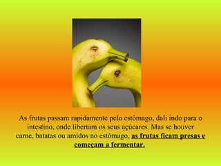 As frutas passam rapidamente pelo estômago, dali indo para o intestino, onde libertam os seus açúcares. Mas se houver carne, batatas ou amidos no estômago,  as frutas ficam presas e começam a fermentar.   
