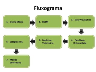 Fluxograma
 
