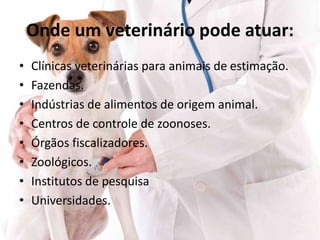 Onde um veterinário pode atuar:
• Clínicas veterinárias para animais de estimação.
• Fazendas.
• Indústrias de alimentos de origem animal.
• Centros de controle de zoonoses.
• Órgãos fiscalizadores.
• Zoológicos.
• Institutos de pesquisa
• Universidades.
 