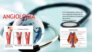 ANGIOLOGÍA
Es la especialidad médica que
se encarga del estudio de los
vasos del sistema circulatorio y
del sistema
linfático.(Angiólogo).