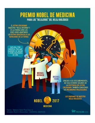 Medicina - Juan Alfonso Veliz Flores