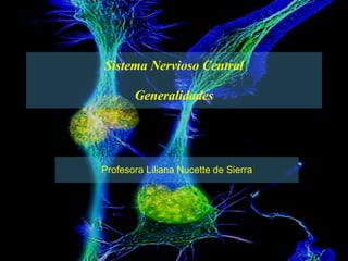 Sistema Nervioso Central Generalidades Profesora Liliana Nucette de Sierra 