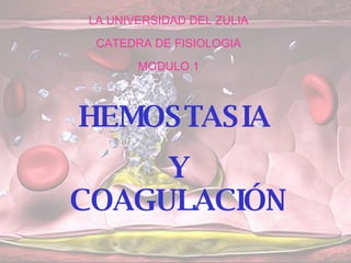 LA UNIVERSIDAD DEL ZULIA CATEDRA DE FISIOLOGIA MODULO 1 HEMOSTASIA  Y COAGULACIÓN 