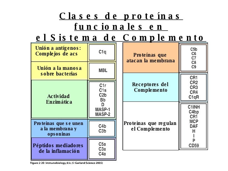 Inmunologia Sistema De Complemento