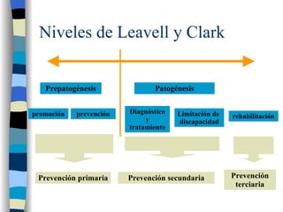 Niveles de Leavell y Clark Prepatogénesis Patogénesis promoción prevención Diagnóstico y tratamiento Limitación de  discapacidad rehabilitación Prevención primaria Prevención secundaria Prevención terciaria 