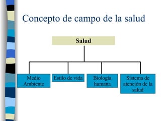 Concepto de campo de la salud Salud Medio Ambiente Estilo de vida Biología humana Sistema de atención de la salud 