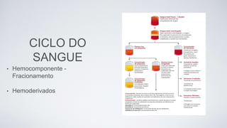 CICLO DO
SANGUE
• Hemocomponente -
Fracionamento
• Hemoderivados
 
