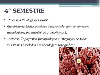 4º SEMESTRE
• Processos Patológicos Gerais;
• Microbiologia básica e médica (interagindo com os conceitos
imunológicos, parasitológicos e patológicos);
• Anatomia Topográfica (recapitulação e integração de todos
os sistemas estudados em abordagem topográfica).
 