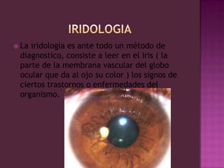 IRIDOLOGIALa iridologia es ante todo un método de diagnostico, consiste a leer en el iris ( la parte de la membrana vascular del globo ocular que da al ojo su color ) los signos de ciertos trastornos o enfermedades del organismo.