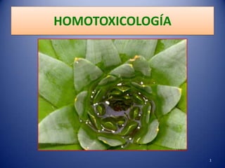 HOMOTOXICOLOGÍA




                  1
 