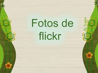 Fotos de
flickr
 