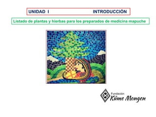 Listado de plantas y hierbas para los preparados de medicina mapuche
UNIDAD I INTRODUCCIÓN
 
