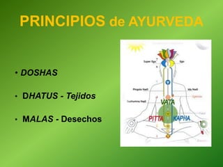 PRINCIPIOS de AYURVEDA
• DOSHAS
• DHATUS - Tejidos
• MALAS - Desechos
 