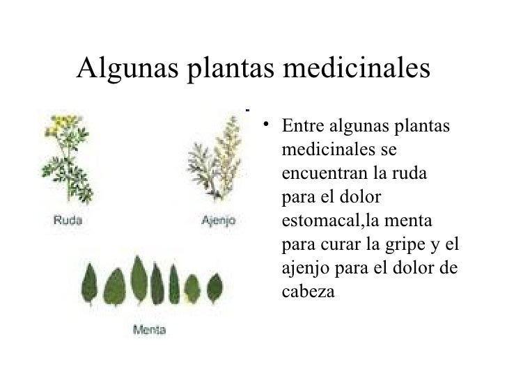 Medicina azteca Medicina azteca
