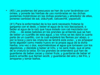 (40) Las postemas del pescuezo se han de curar lavándose con orines, y ponerle las hierbas de uso nombradas en las dichas postemas moliéndose en las dichas postemas y alrededor de ellas, ponerse cantidad de sal, iztáuhyatl, calcuechtli, yapaxíuitl.  (41) Para la enfermedad de la tos será necesario frotarse la garganta con el dedo, y beber el agua de la raíz tlacopópotl, o beber el agua de la raíz que haya estado con cal mezclada con chile, .. . de estas bebidas en los grandes se entiende que se han de beber un cuartillo de esta agua, y los niños se les dará la cuarta parte de un cuartillo, con la cual expelerá las flemas por abajo, o por la boca y para las criaturas se tendrá este aviso , y es empapar tanto algodón como medio huevo en la propia agua de la dicha hierba, una vez o dos, exprimiéndose el agua que tomasen con los algodones, y dándole a beber al niño, y no será malo, que el ama de la criatura la beba. En los grandes se entenderá que han de guardarse de beber cacao y comer fruta, y guardarse de beber el pulcre amarillo que llamen aoctli, y guardarse del aire y del frío, y arroparse y tomar baños.  
