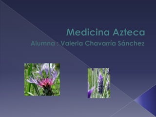 Medicina Azteca Alumna : Valeria Chavarría Sánchez  