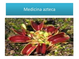 Medicina azteca 