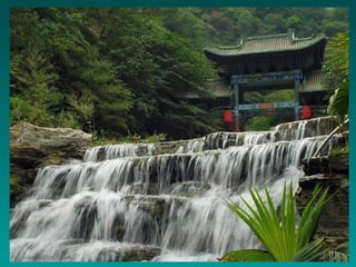 Medicinachinesa Jin ji du li