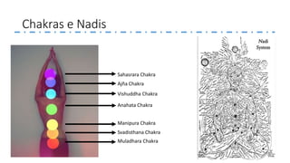 Chakras e Nadis
Sahasrara Chakra
Ajña Chakra
Vishuddha Chakra
Anahata Chakra
Manipura Chakra
Svadisthana Chakra
Muladhara Chakra
 