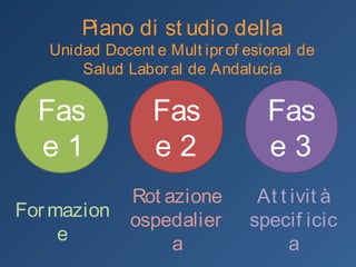 Piano di studi
Unidad Docente Multiprofesional de Salud Laboral de
Andalucía
Fase 1 Fase 2 Fase 3
Formazione
Rotazione
ospedaliera
Attività
specifica
R1R1
5 mesi
R1 – R2 – R3R1 – R2 – R3
7 mesi – 12 mesi – 6 mesi
R3 – R4R3 – R4
4 mesi – 12 mesi
 