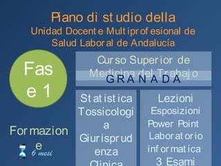 Piano di studi
Unidad Docente Multiprofesional de Salud Laboral de
Andalucía
Fase 1
Formazione
5 mesi
Curso Superior de Medicina del TrabajoCurso Superior de Medicina del Trabajo
G R A N A D A
Statistica
Tossicologia
Giurisprudenza
Clinica
Lezioni
Esposizioni Power Point
Laboratorio informatica
3 Esami
 